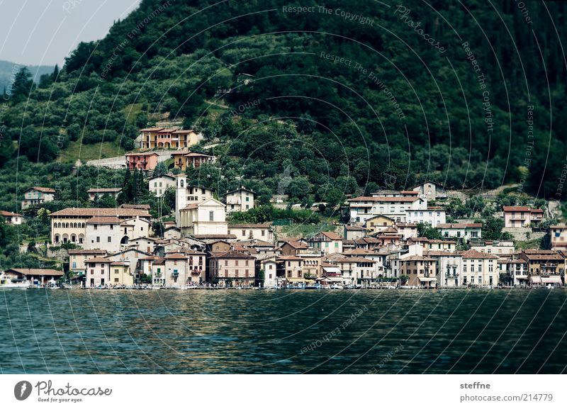 vacation Coast Lakeside Italy Village Port City Colour photo Exterior shot Day Travel photography Vacation & Travel House (Residential Structure)