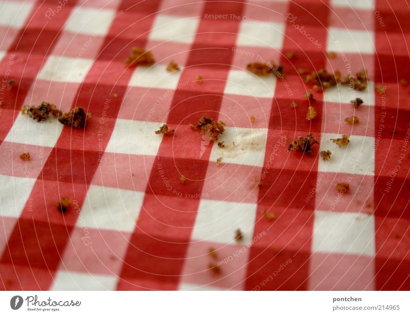 Food. Cake crumbs on a checkered napkin. Red and white Dessert Nutrition Napkin Dirty Near Retro Cliche Sweet Brown White Crumbs Remainder Pattern Checkered