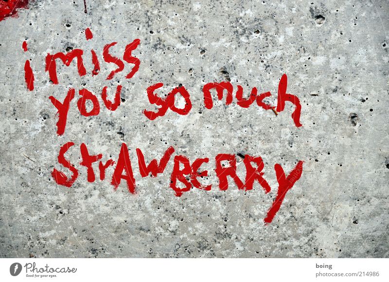 I miss you so much Strawberry Sign Characters Signage Warning sign Graffiti Emotions Romance Desire Exterior shot Miss Stone Red English Deserted