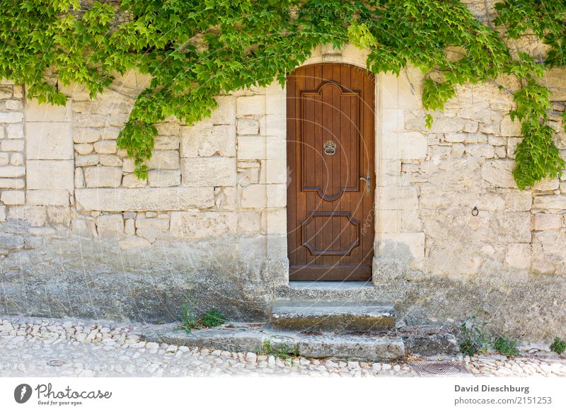 Old Door Vacation & Travel Tourism Trip Adventure Spring Summer Beautiful weather Plant Ivy Village Old town House (Residential Structure) Facade Uniqueness