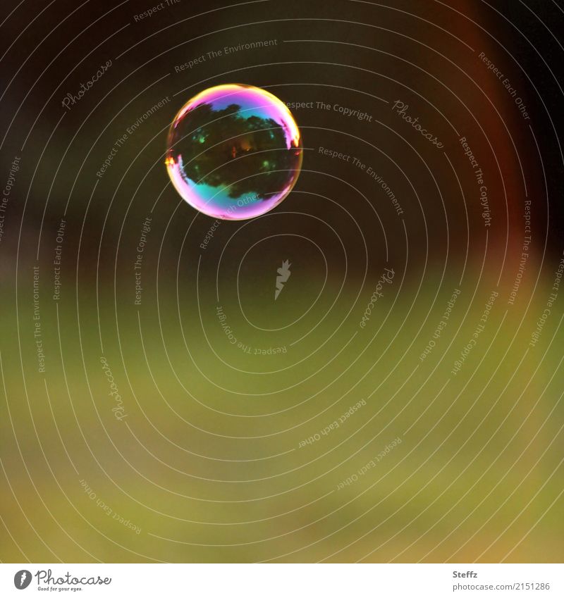 a soap bubble floats in the air Soap bubble floating bubble Ease Hover hovering Light heartedness Light reflection Happiness airborne Idyll Easy Air bubble
