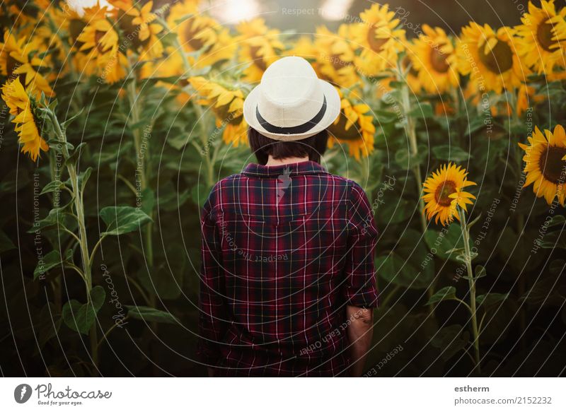 Girl in field of sunflowers Lifestyle Joy Adventure Freedom Human being Feminine Young woman Youth (Young adults) Woman Adults 1 30 - 45 years Plant Field Think