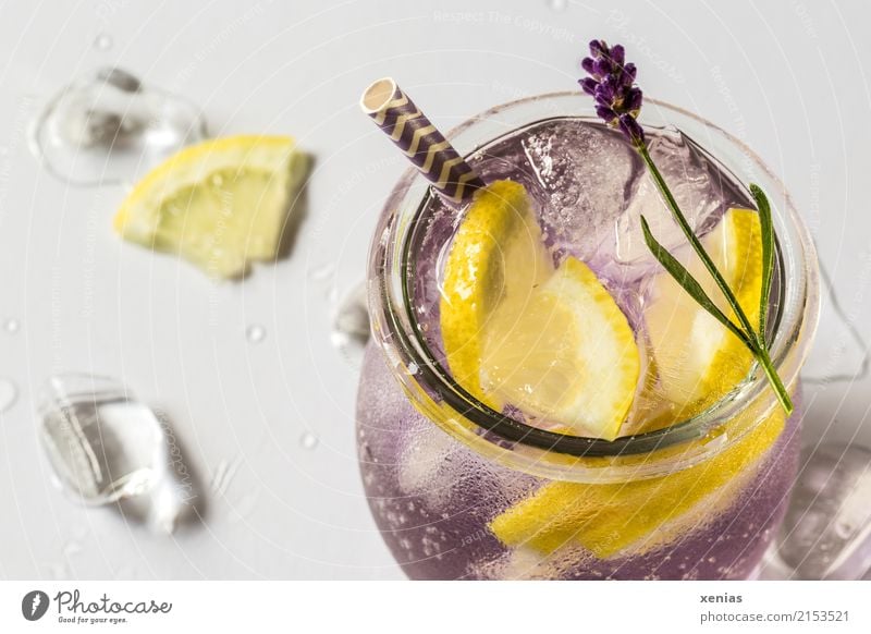 Iced refreshing drink with lavender and lemon Fruit Herbs and spices Lemon Lavender Ice cube Organic produce Vegetarian diet Diet Beverage Cold drink