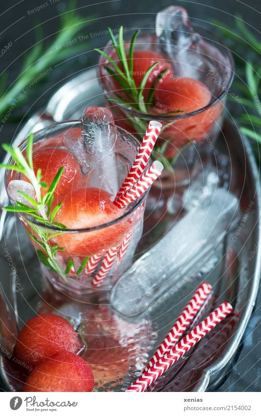 Watermelon with rosemary and ice cream sticks as a refreshing drink on a silver tray Fruit Herbs and spices Water melon Rosemary Ice cube ice stick Sphere
