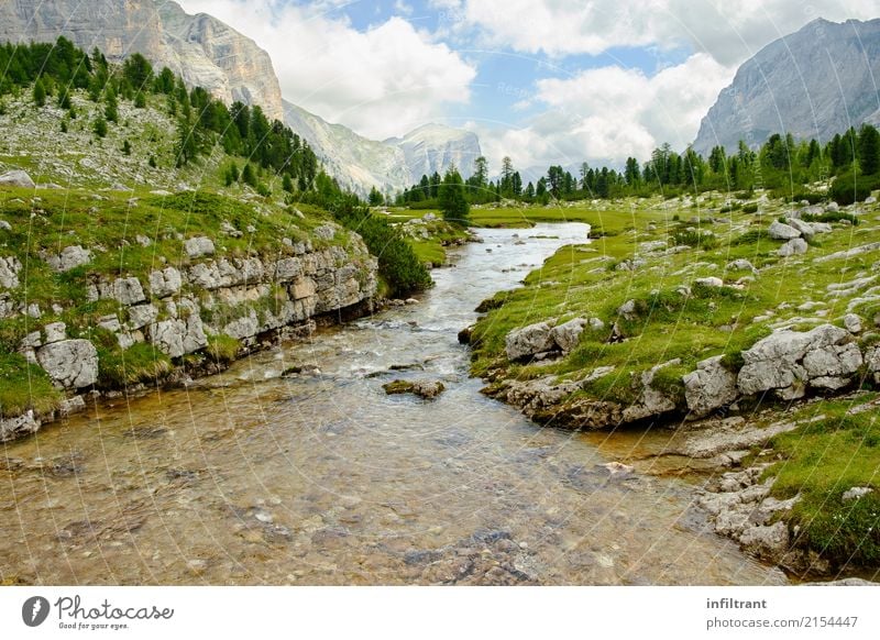 in the Dolomites Vacation & Travel Freedom Summer Mountain Hiking Environment Nature Landscape Clouds Meadow Forest Rock Alps Brook Italy Wet Natural Beautiful