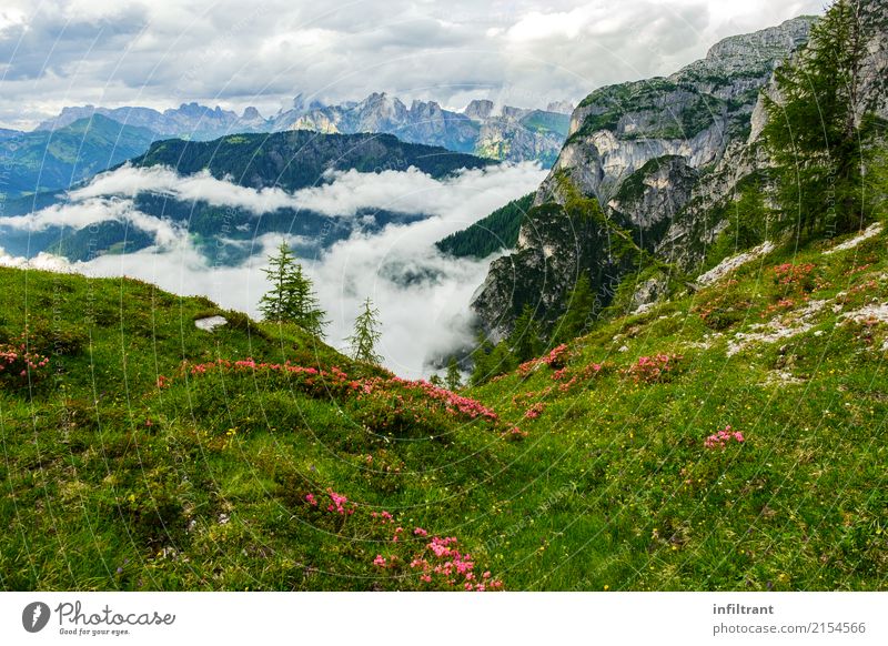 On the way in the Dolomites Vacation & Travel Tourism Summer Mountain Hiking Landscape Clouds Meadow Hill Alps Blossoming Relaxation Natural Beautiful Blue Gray