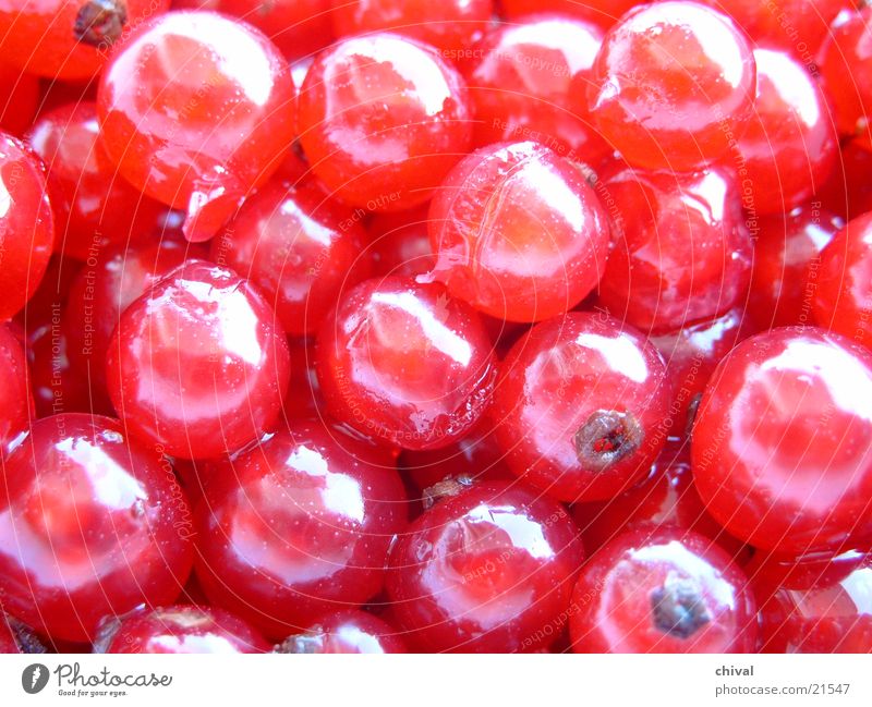 currants Healthy Berries Sphere Colour