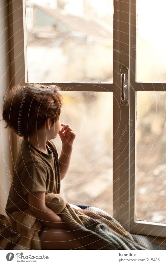 At the window Human being Masculine Child Boy (child) Infancy 1 3 - 8 years House (Residential Structure) Window Cuddly toy Vienna Looking Observe Closed