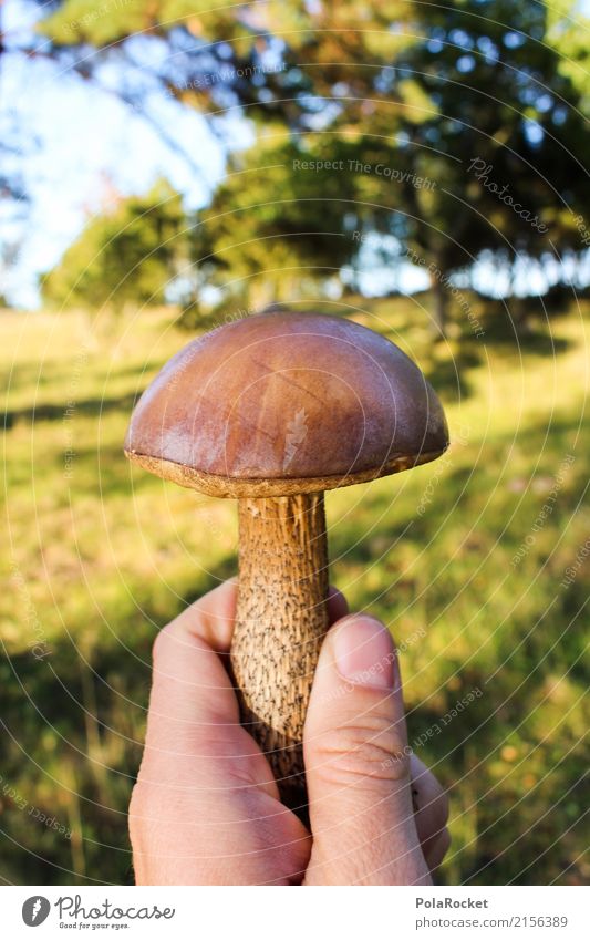 #S# Mushroom one Leisure and hobbies Eating Food Mushroom picker Human being Hand Environment Discover Brown Joie de vivre (Vitality) Protection Attentive Pride