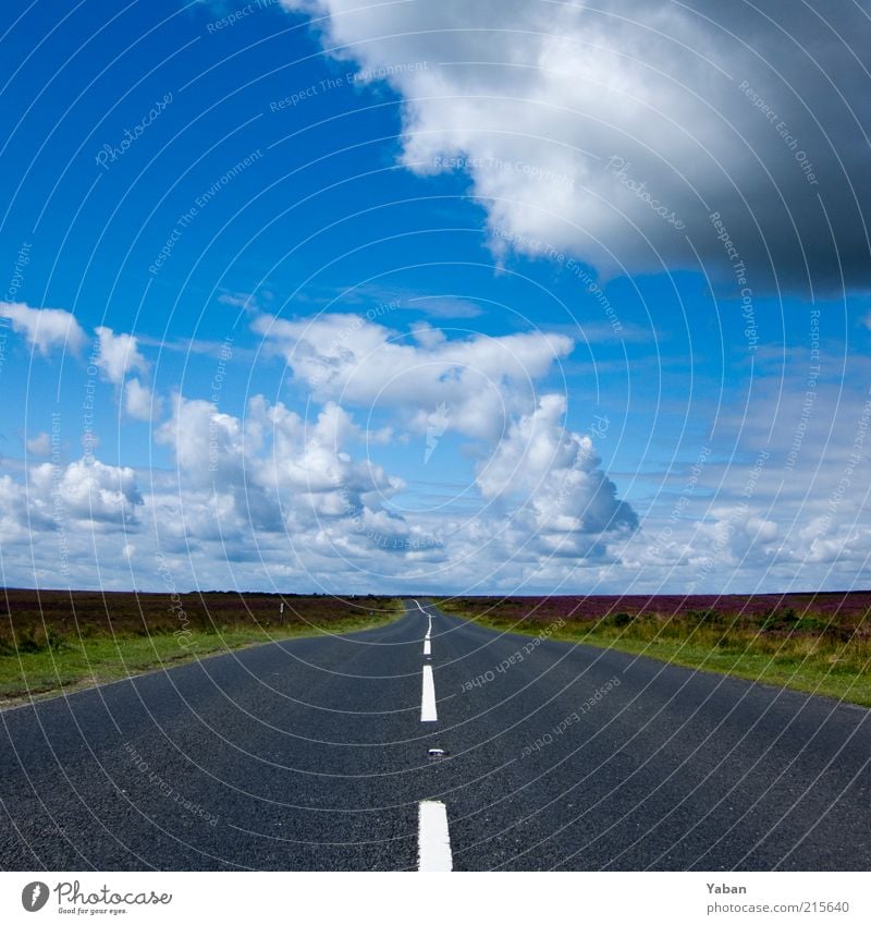 country roads Sky Clouds Summer Weather Deserted Traffic infrastructure Street Lanes & trails Colour photo Blue sky Freedom Far-off places Lane markings