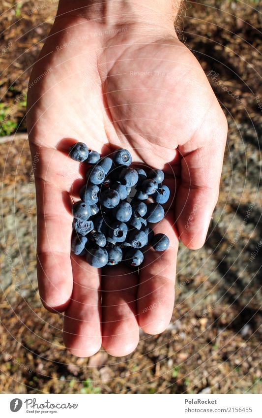#S# Blue Bears Leisure and hobbies Discover Fruit Nutrition Eating Blueberry Organic produce Vegetarian diet Diet Summer Sweden Nature Fresh Forest Juicy