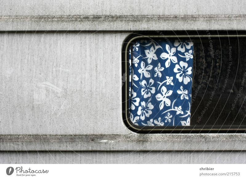 Flowers *** [HH 10.1]*** Vacation & Travel Trip Camping Living or residing Flat (apartment) Interior design Curtain Drape Window Vintage car Caravan Trailer