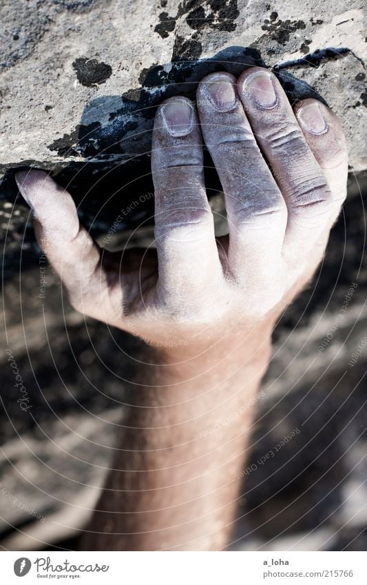 on the rocks (III) Lifestyle Sports Climbing Mountaineering Sportsperson Climbing facility Quarry Human being Hand 1 Rock Peak Stone Touch To hold on Hang