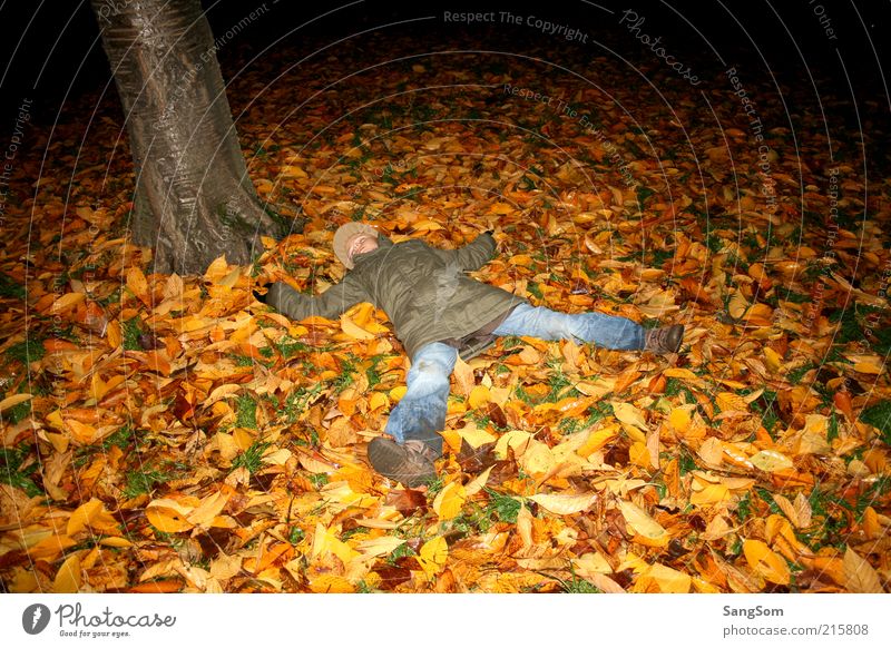 autumn foliage angel Infancy 1 Human being Nature Earth Autumn Tree Touch Relaxation Sleep Dirty Brown Yellow Green Red Emotions Joy Autumn leaves Leaf