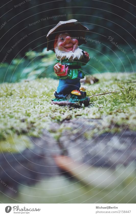 Garden gnome with umbrella in the forest Collector's item Stand Multicoloured Joy Happiness Contentment Joie de vivre (Vitality) Nature Forest Woodground Figure