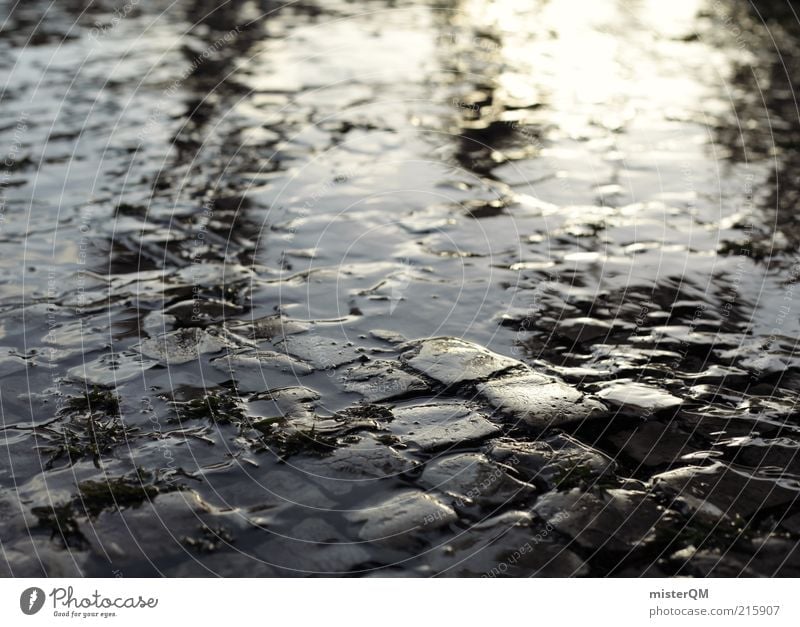 Wet Band-Aid. Art Esthetic Loneliness Apocalyptic sentiment Eternity Inspiration Perspective Surrealism Dream Dream world Water Paving stone Cobbled pathway