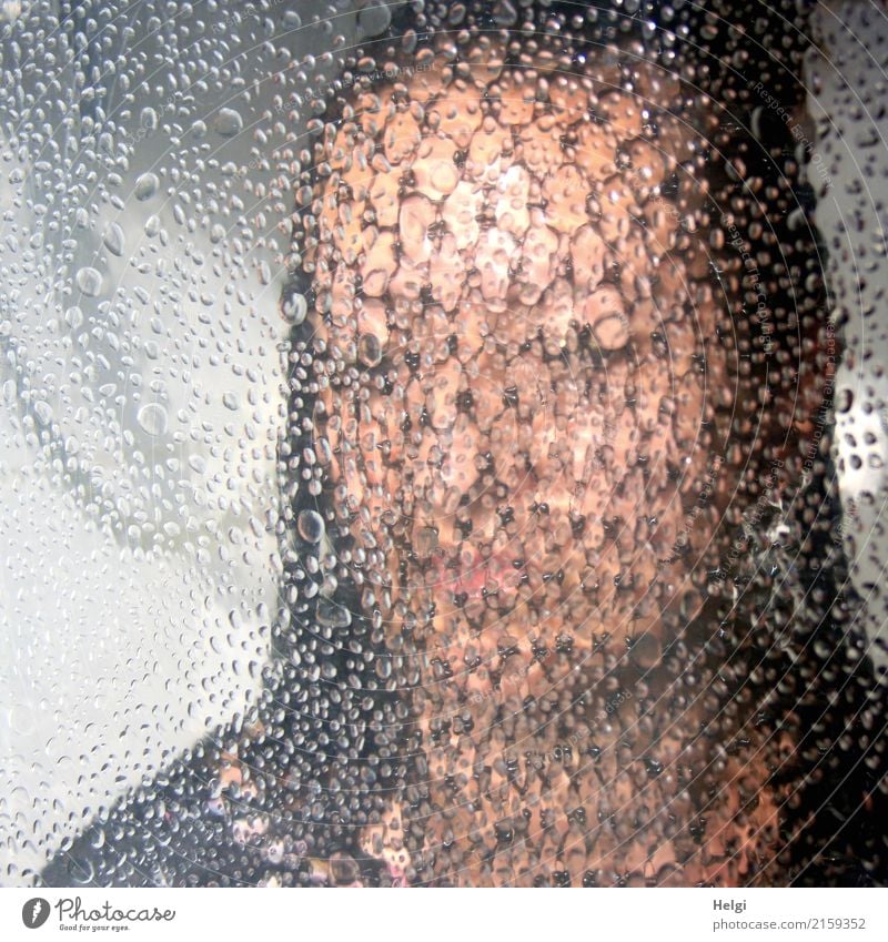 face of a woman veiled with a net behind a not completely transparent glass pane Human being Feminine Woman Adults Head Face 1 45 - 60 years Brunette