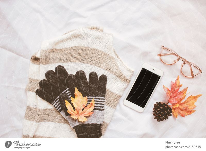 Autumn fashion style concept Coffee Lifestyle Style Design Decoration Thanksgiving Craft (trade) Cellphone PDA Technology Art Warmth Leaf Fashion Sweater