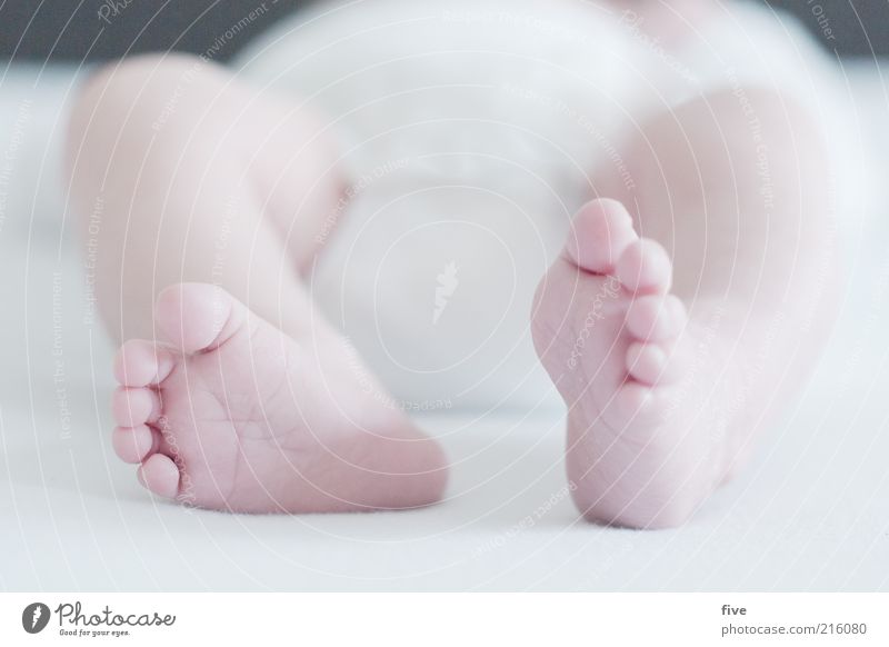 new world / part 2 Bed Human being Baby Toddler Infancy Legs Feet 1 0 - 12 months Sleep Growth Beautiful White Emotions Joy Happy Contentment Trust Colour photo