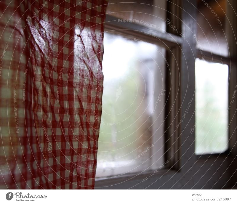 Teahouse II Window Drape Curtain Glass Cold Green Red White Protection Safety (feeling of) Warm-heartedness Calm Misted up Condensation Condense Cloth