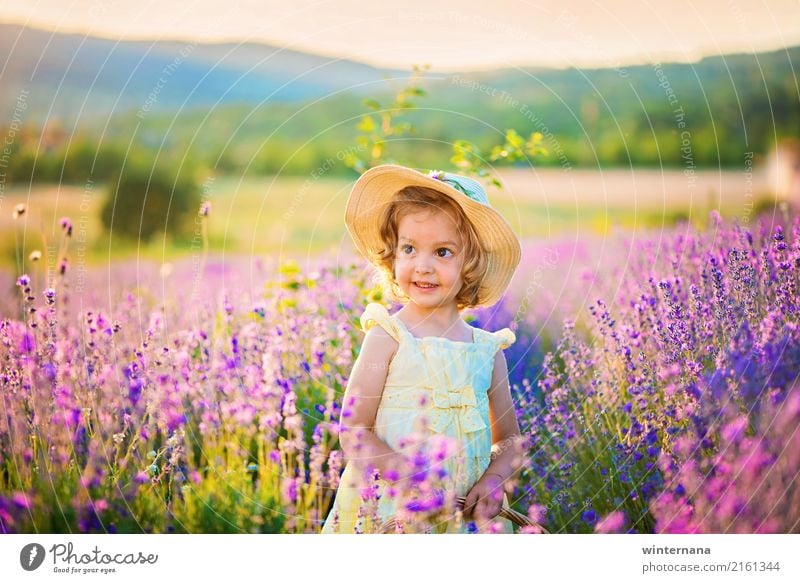 Girl in the lavender Human being 1 3 - 8 years Child Infancy Sky Summer Beautiful weather Lavender Field Mountain Lavender field Dress Hat Blonde Curl Smiling