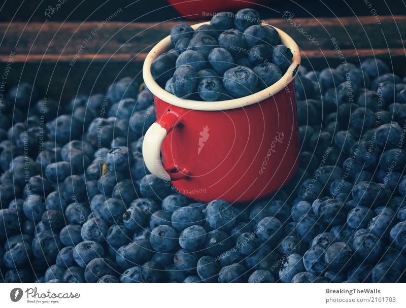 Fresh blueberry in red enamel mug close up Food Fruit Nutrition Organic produce Vegetarian diet Diet Cup Box Shopping Blue Red Blueberry Berries Portion Harvest