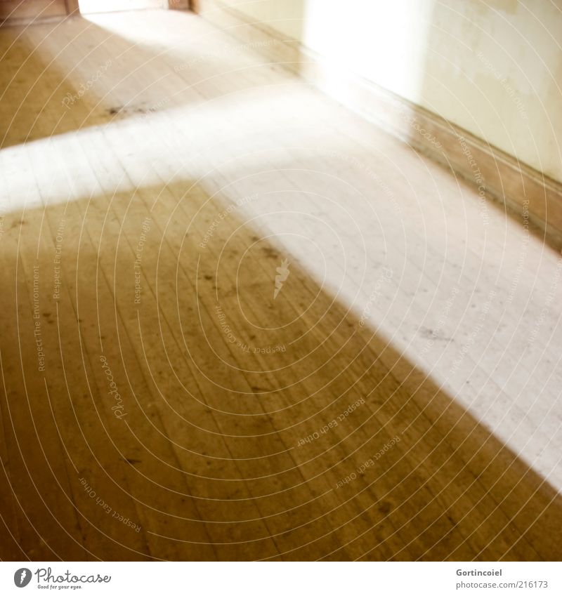 flood of light Room Bright Ground Wooden floor Floorboards Flare Shaft of light Graphic Colour photo Subdued colour Interior shot Copy Space bottom