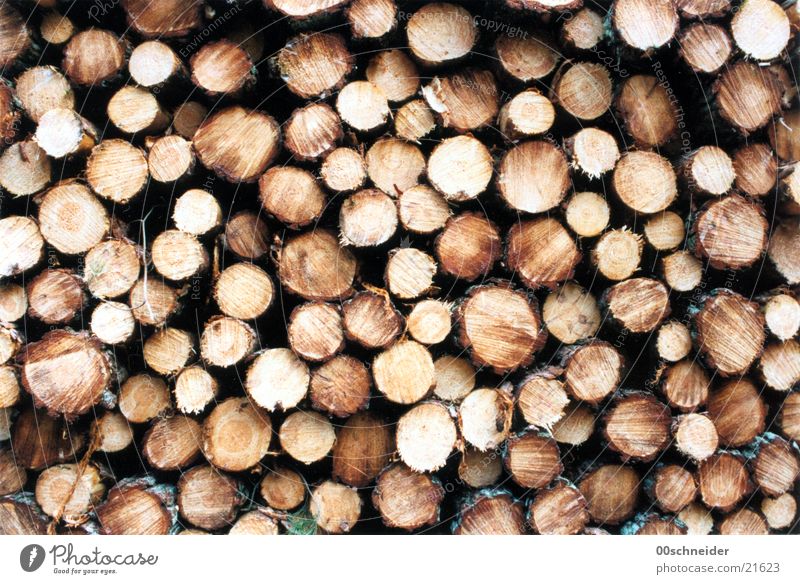 stack of wood Wood Stack of wood Brown Pine pile Storage