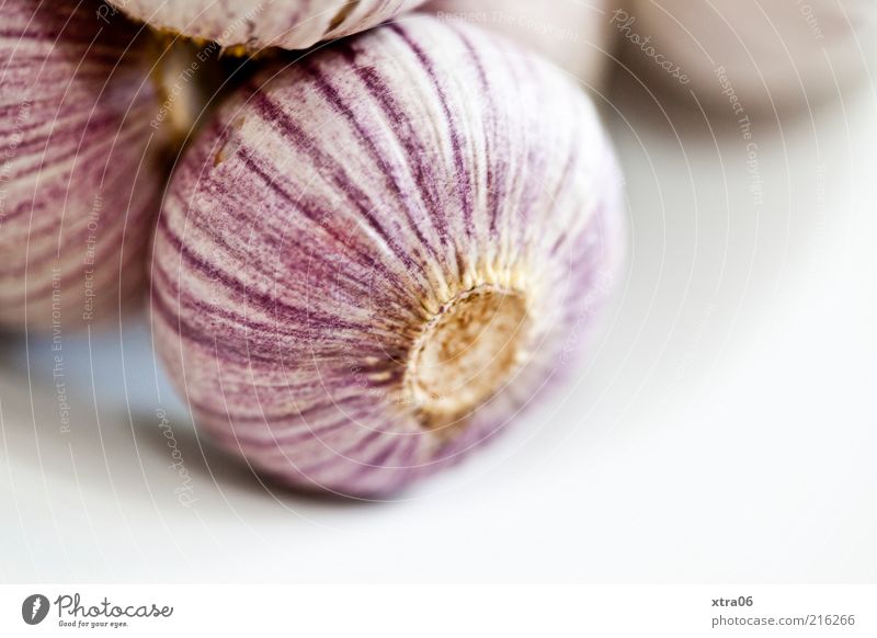 today only garlic at noon :) Food Herbs and spices Nutrition Delicious Garlic Garlic bulb Colour photo Interior shot Close-up Copy Space bottom