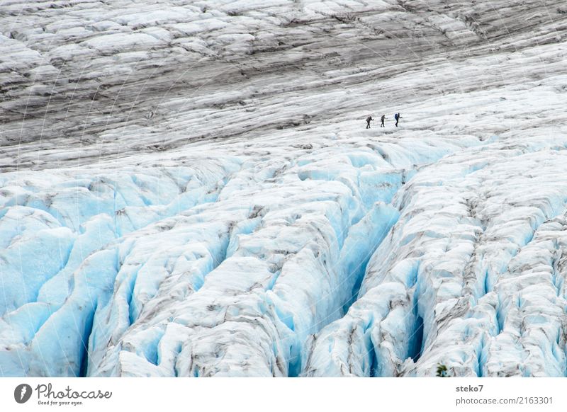 Exit Glacier 3 Human being Group Winter Climate change Ice Frost Freeze Hiking Threat Gigantic Cold Blue Gray White Lanes & trails Attachment Rope team Cervasse