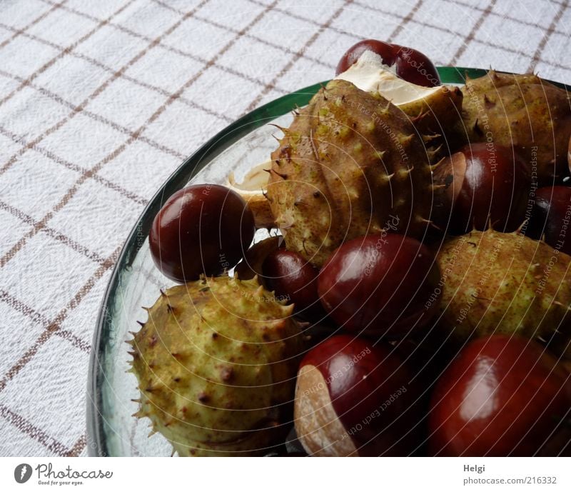 autumnal Nature Plant Autumn Chestnut Glass Lie Esthetic Simple Fresh Small Natural Round Brown Green White Decoration Checkered Bowl Sheath Thorny Autumnal