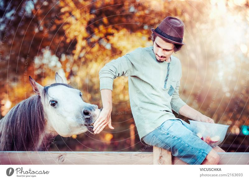 Young man with horse Masculine Youth (Young adults) Animal Horse Design Leisure and hobbies Joy Man Boy (child) Barn Nature Stable Autumn Colour photo