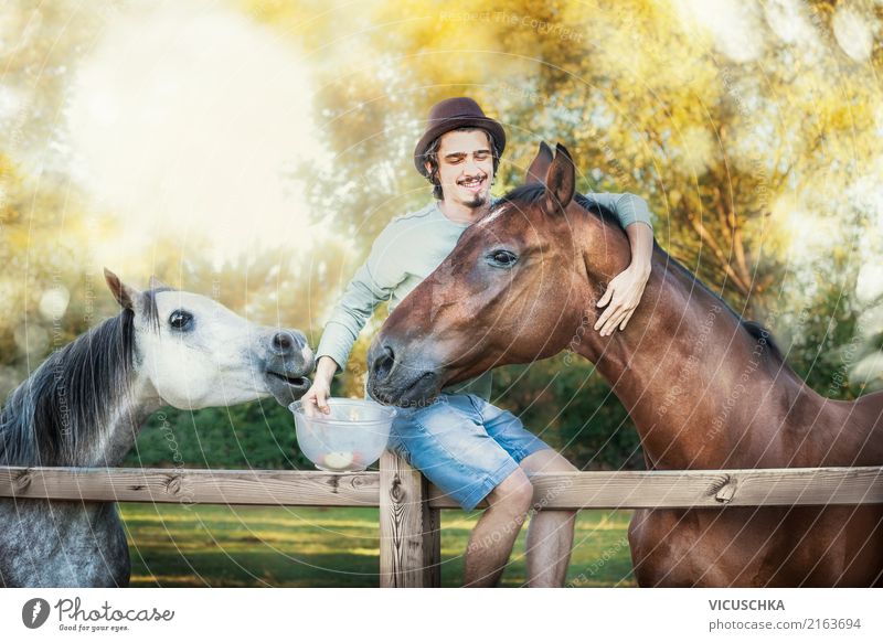 Young guy laughs and feeds horses Lifestyle Human being Masculine Young man Youth (Young adults) 1 Nature Animal Horse 2 Emotions Moody Joy Happy Happiness