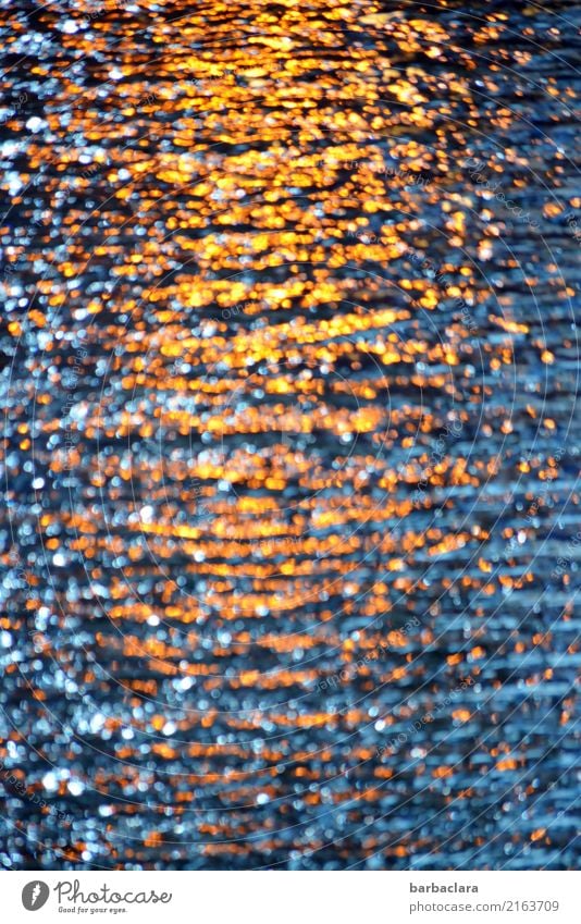 Curious | glass sunset Sun Door Glass Glittering Illuminate Warmth Blue Gold Moody Bizarre Exotic Colour Senses Illusion Colour photo Interior shot Detail