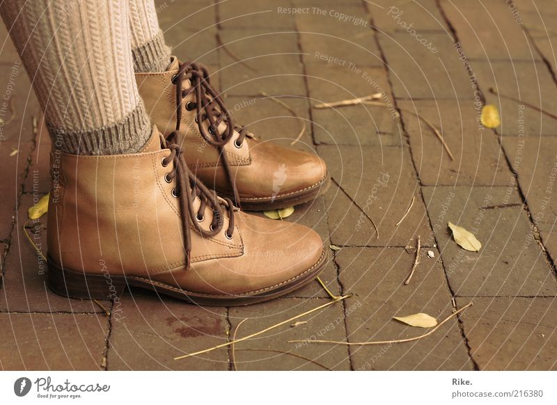 Stayed on the ground. Style Human being Feminine Feet 1 Autumn Leaf Tights Leather Footwear Stand Elegant Hip & trendy Beautiful Natural Brown Self-confident