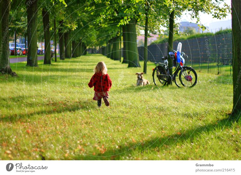 The little strawberry Human being Toddler Infancy 1 1 - 3 years Animal Pet Dog Going Avenue Meadow Joy Reunion Colour photo Exterior shot Copy Space bottom