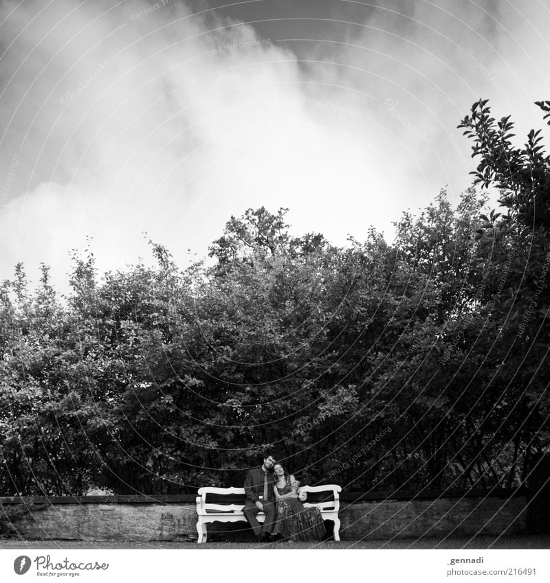 Young Happiness Human being Masculine Couple Partner Life 2 Clothing Dress Suit Love Sit Embrace Happy Beautiful Emotions Betrothal Bench Clouds in the sky