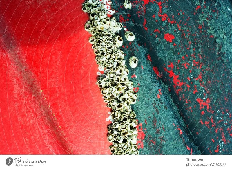 colours and shapes. North Sea Denmark Navigation Fishing boat barnacles Growth Green Red Natural growth Ship's side Colour Flake off Damage Colour photo