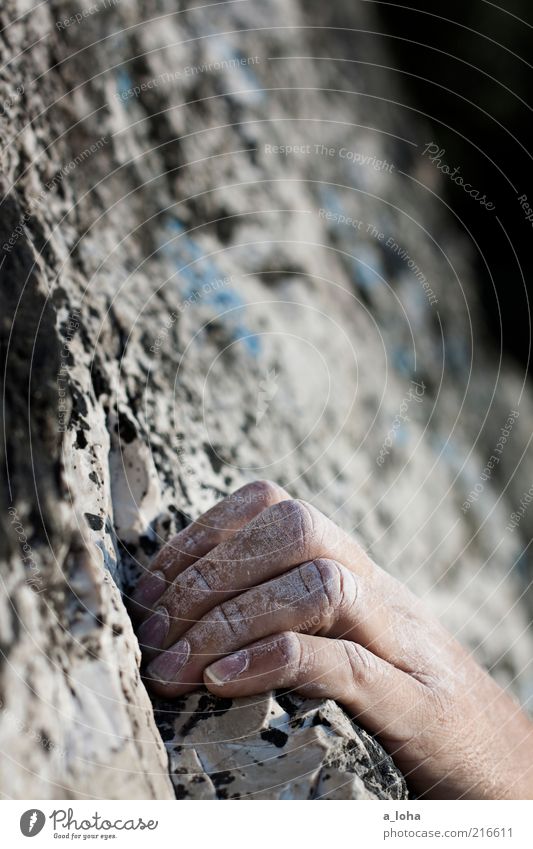 on the rocks (IV) Sports Sportsperson Climbing Climbing facility Hand 1 Human being Rock Touch To hold on Hang Athletic Cool (slang) Firm Natural Gray Power