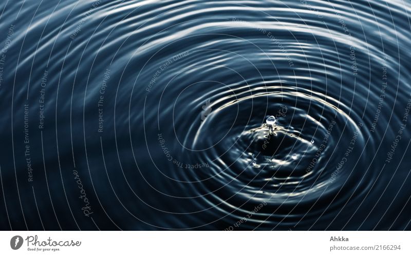 restless circles, water, water drops, dark blue, mood Wellness Study Academic studies Energy industry Elements Water Drops of water Esthetic Exceptional Dark