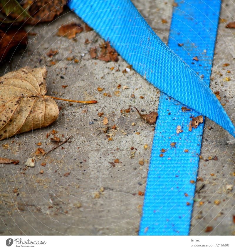 [HH10.1] - Autumn crumbs Blue Light blue lashing strap Remote Leaf Dried Shriveled Concrete Lie Exterior shot Crumbs Deserted Textiles Consecutively tight