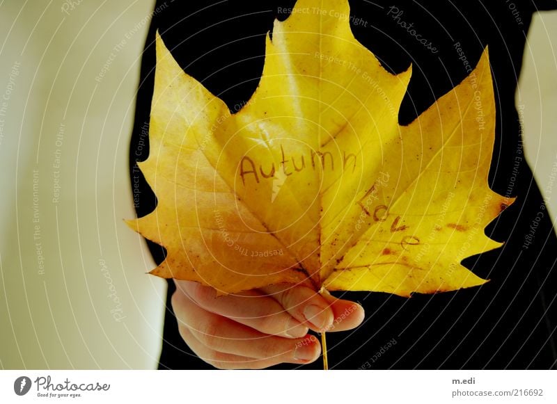 Autumn Love II Hand Leaf Dress Old Autumn leaves Maple leaf Colour photo Interior shot Love of nature Declaration of love Display of affection Characters