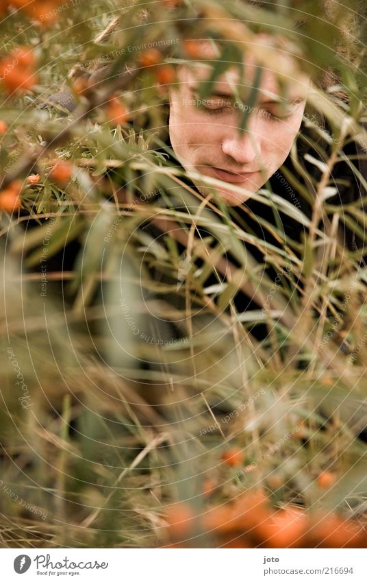 in the sea buckthorn bush I Fruit Sallow thorn Masculine Young man Youth (Young adults) Man Adults Face Nature Plant Bushes Twigs and branches Esthetic Fresh