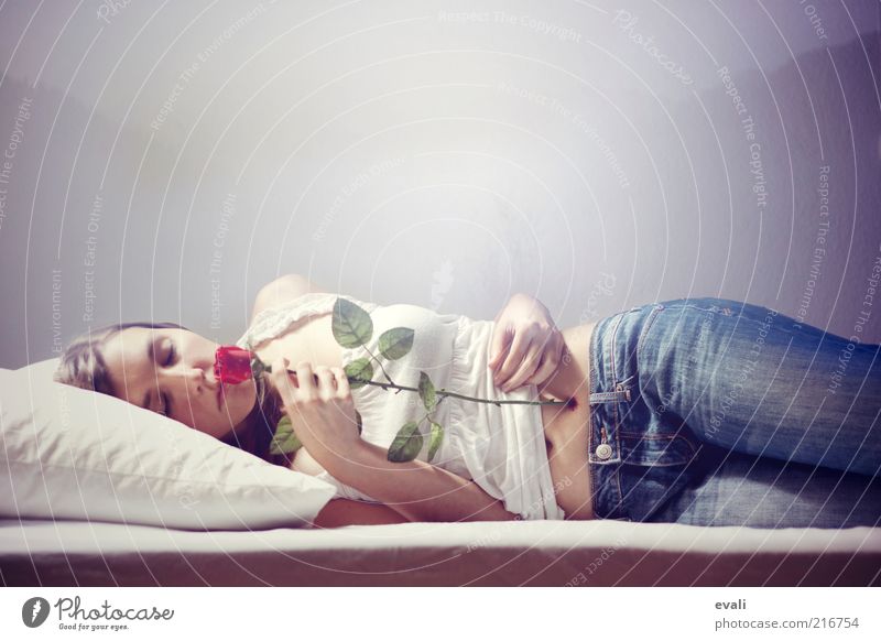 Dead sleep Bolster Human being Feminine Young woman Youth (Young adults) Woman Adults 1 18 - 30 years Rose Lie Sleep Blue Red White Lovesickness Pain Feeble