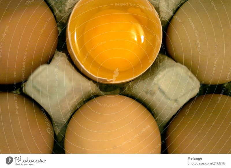 Egg Egg Egg Food Struck Nutrition Yellow Packing material Yolk Albumin Food photograph Hen's egg Colour photo Interior shot Close-up Section of image