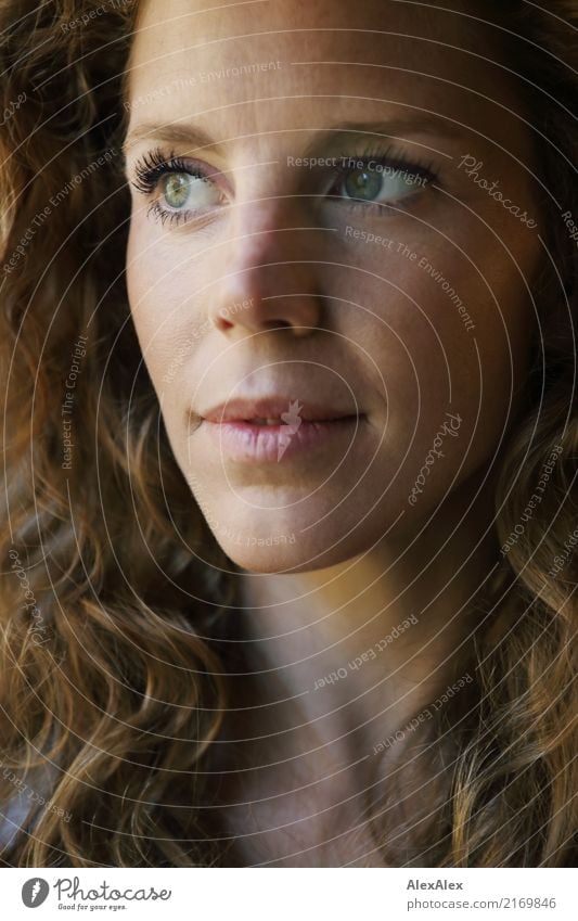 very close portrait of young beautiful woman with freckles and dimples and red curly hair Happy pretty Face Well-being Young woman Youth (Young adults) Freckles
