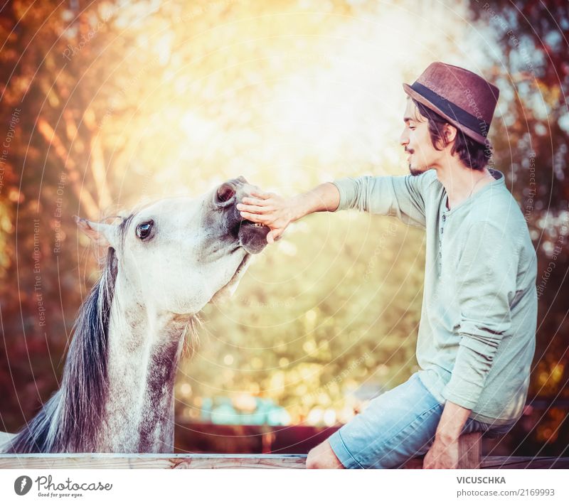 Communication between young man and horse Lifestyle Human being Young man Youth (Young adults) Hand Nature Autumn Animal Horse Emotions Joy