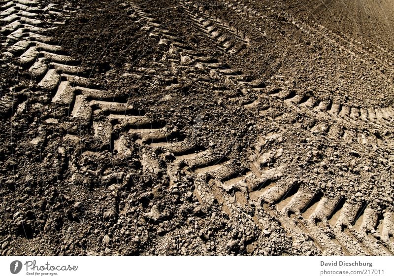 TRÄGÄ DRIVING Earth Drought Field Brown Tractor track Tire tread Tracks Loam Agriculture Plowed Dry Diagonal Colour photo Exterior shot Detail