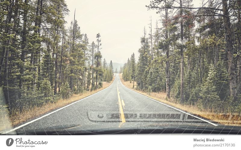Mountain rainy road. Vacation & Travel Trip Adventure Nature Rain Forest Street Highway Car Authentic Wet Retro Green Moody Homesickness Loneliness drive