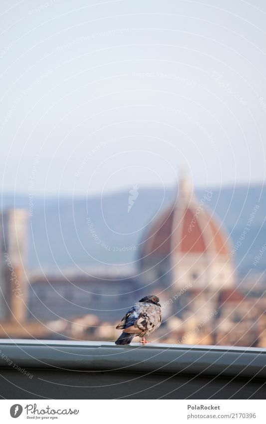 #A# Firenze Art Esthetic Florence City trip Domed roof Tourist Italy Summer vacation Destination Roof Handrail Pigeon Overview Vantage point Colour photo